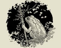 a drawing of a frog holding onto a tree branch