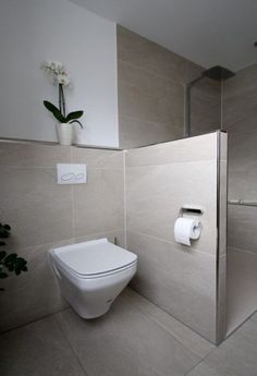 a white toilet sitting in a bathroom next to a plant and towel dispenser