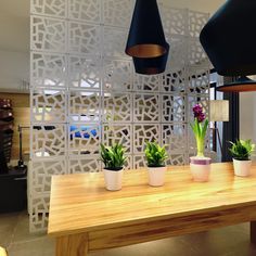 three potted plants sit on a wooden table in front of a wall with laser cut screens