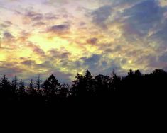 the sky is filled with clouds and some trees in front of it, as the sun sets