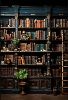 a bookshelf filled with lots of books next to a potted green plant