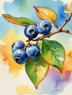 Fruits In Watercolor, Still Life Watercolor Paintings Easy, Water Colours Drawing Ideas, Water Colour Art Inspiration, Watercolor Still Life Paintings, Watercolor Art Food, Water Colour Painting Ideas Inspiration, Still Life Watercolor Paintings, Water Colour Painting Watercolour