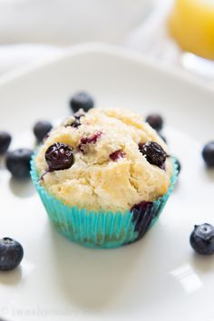 a blueberry muffin on a white plate