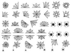 spider webs and cobwes on white background