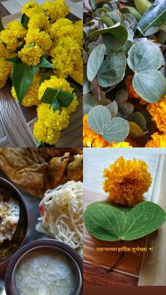 several different pictures with flowers and plants in them, including leaves on the top one