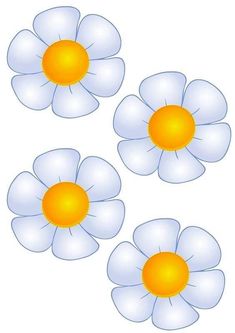 three white flowers with yellow centers are shown