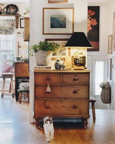 an old dresser with potted plants on top and a lamp on top, in a living room