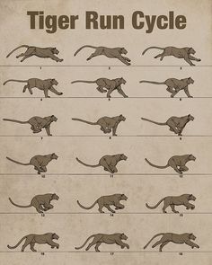 a poster showing how to run a tiger in different positions and numbers, with instructions for each