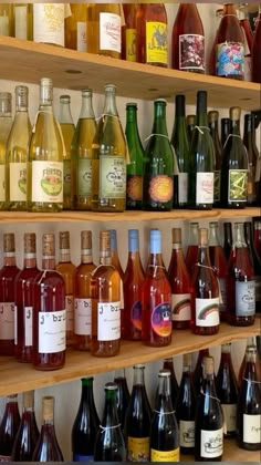 many bottles of wine are lined up on the shelves