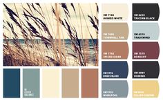 the color scheme for an outdoor area with sea oats, sand dunes and water