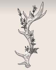 an ink drawing of a tree branch with flowers growing out of it's branches