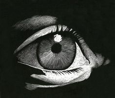 an eye is shown in black and white with the iris partially closed, as if it were drawn by hand