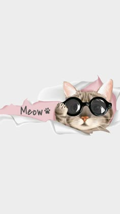 a cat wearing glasses peeking out from behind a sign that says meow on it