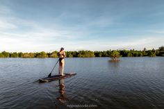 a person on a paddle board in the water with trees in the background and blue sky