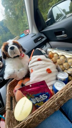 a dog sitting in the passenger seat of a car with food and snacks inside it