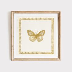 a gold butterfly framed in a white frame on the wall above it is an ornate border