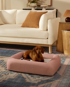 a brown dog laying on top of a pink bed in a living room next to a white couch