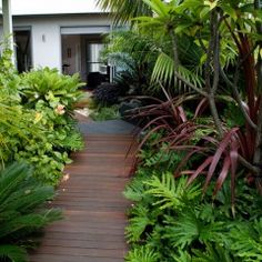 a wooden walkway surrounded by lush green plants and trees in front of a white house