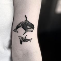 two orca whale tattoos on the arm