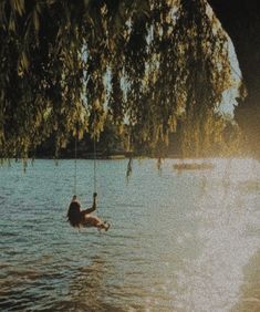 a person hanging from a tree in the water