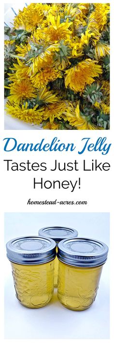 two jars filled with yellow flowers and the words dandelion jelly tastes just like honey