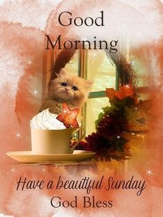 a cat sitting in a cup on top of a table with the words good morning have a beautiful sunday god