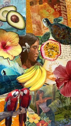 a collage of pictures with birds, flowers and bananas