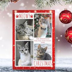 a christmas card with cats and ornaments