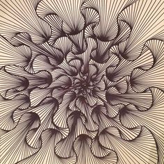 an abstract drawing with lines and shapes in the shape of a flower on a beige background