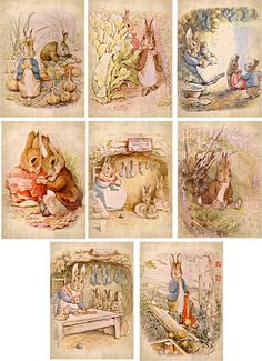 several pictures of rabbits and other animals in different positions, including one sitting on a bench