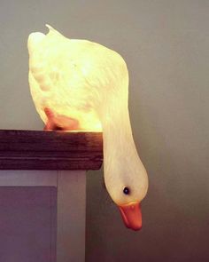 a white duck is sitting on top of a wooden shelf with a light in it's beak