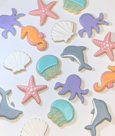 sea animals and seashells decorated cookies on a table