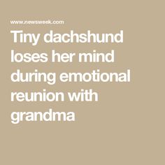 Tiny dachshund loses her mind during emotional reunion with grandma Family Dynamics, Viral Post, Health Services, Sweet Potatoes, Losing Her, Viral Videos, Dachshund, Mindfulness, Lost