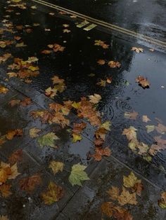 an umbrella is sitting on the wet ground next to some fallen leaves and puddles