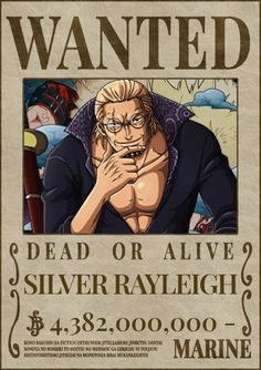 the wanted poster for silver raylight