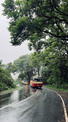 a red bus driving down a rain soaked road next to tall trees and green foliage