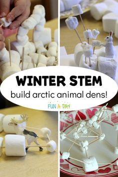 Arctic Week Preschool, Arctic Animals Preschool Science, Arctic Theme Activities, January Learning Themes, Arctic Animals Science Experiment, Winter Animals Science Preschool, Arctic Themed Crafts, January Activities For Kids Lesson Plans, Winter Stem Preschool