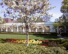 a large white building sitting next to a lush green park filled with trees and flowers