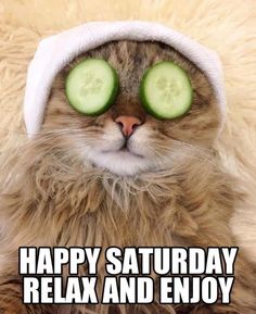 a cat with cucumbers on it's eyes and the caption happy saturday relax and enjoy