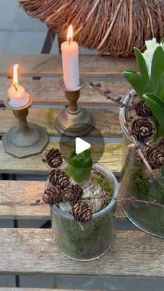 two vases filled with plants and pine cones on top of a wooden table next to candles