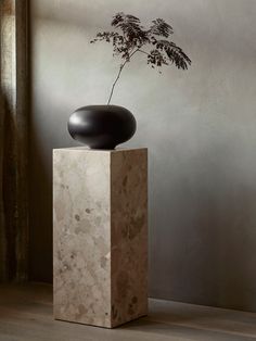 a vase with a plant in it sitting on top of a marble block next to a window