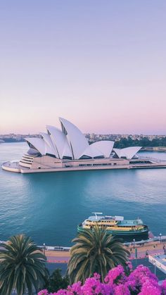 an aerial view of the sydney opera house and its surrounding gardens, with pink flowers in bloom