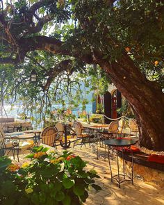 an outdoor dining area with tables and chairs under a tree