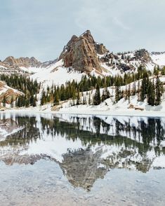 the mountains are reflected in the still water on the lake's surface, while pine - covered trees stand at the far end