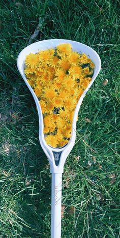 yellow flowers are in the bottom of a white racket on green grass, top view from above