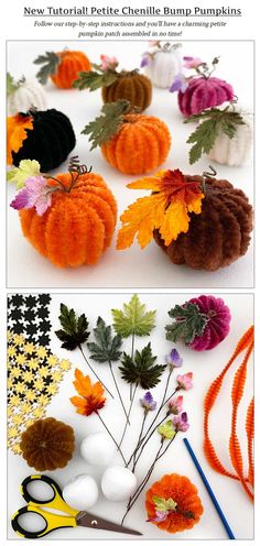 two different pictures of pumpkins and flowers with scissors