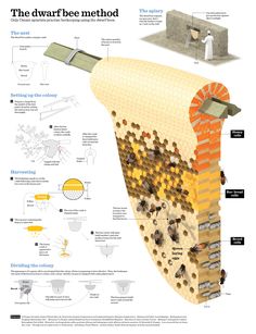 the structure of a beehive is shown in this diagram, with instructions on how to