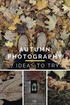 autumn photography 7 ideas to try