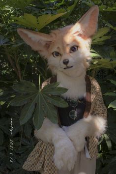 a dog dressed up as a fox with leaves in it's mouth and collar