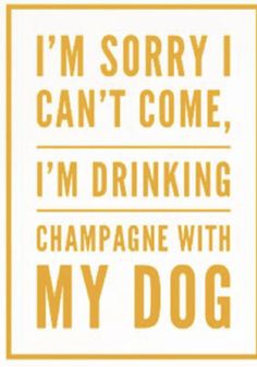 i'm sorry i can't come, i'm drinking champagne with my dog